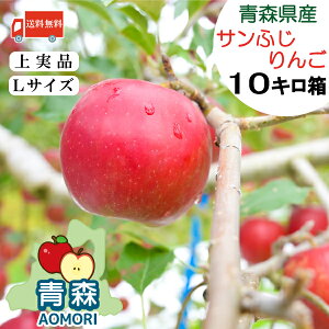  XY  Tӂ yzyLTCYz 10kg i32`36ʁjyXY Xzӂ