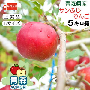  XY  Tӂ yzyLTCYz 5kg i16`18ʁjyXY Xzӂ