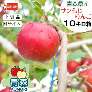  XY  Tӂ yzyMTCYz 10kg i36`40ʁjyXY Xzӂ