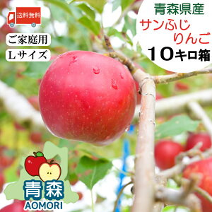  XY  Tӂ yLTCYz 10kg i32`36ʁjyXY Xzӂ