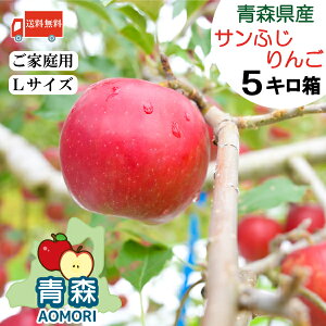  XY  Tӂ yLTCYz 5kg i16`18ʁjyXY Xzӂ