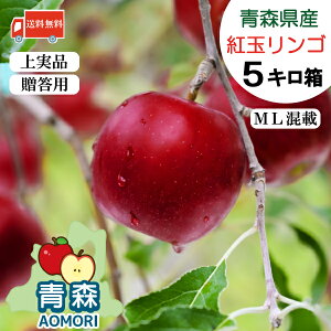 【上実・上品】送料無料 青森県産 りんご 紅玉 【ML混載】 5kg箱 (23〜25玉)【青森産 青森 2025年度産】