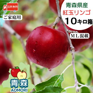 【ご家庭用】送料無料 青森県産 りんご 紅玉 【MLサイズ混載】 10kg箱 (46〜50玉)【青森産 青森 2025年度産】