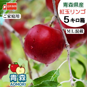 yƒpz XY  g yMLTCYځz 5kg i23`25ʁjyXY X 2025NxYz