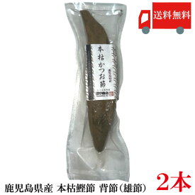 鹿児島県産 本枯節 雄節(背節) 2本 (全国送料無料)(かつお節 本枯れ節)