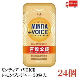  ~eBA +VOICE WW[ 30 ×24ivX{CX DFj