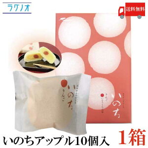  OmI  ̂ Abv 10×1i JX^[hP[Lj