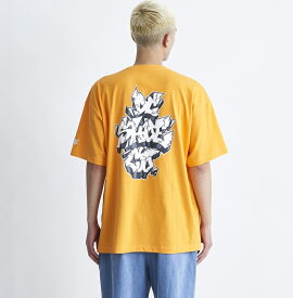 ディーシーシューズ DC SHOES 　24 THREE LINES GRAFFITI SS Tシャツ Mens T-shirts 【DST242008 ORG】