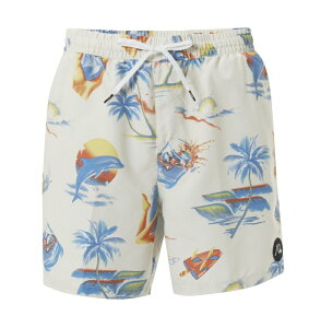 クイックシルバー Quiksilver メンズ水着 スイムウェア 通販 人気ランキング 価格 Com