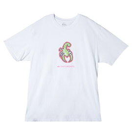 セール SALE Quiksilver クイックシルバー SNYC SS GRAPHIC TEE Tシャツ Tシャツ ティーシャツ