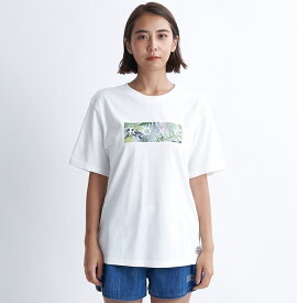 ロキシー ROXY 　SIMPLY BOTANICAL TEE Tシャツ Womens T-shirts 【RST241075 WHT】