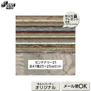 Zei[31 S41Zbg 25×25cm iv[gtj