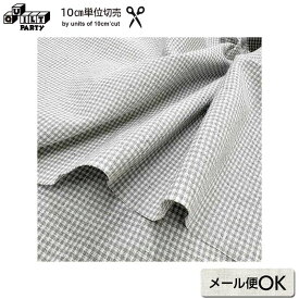 2026-02-A10 10cm