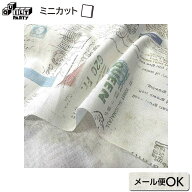 2026-06-A03 ミニカット
