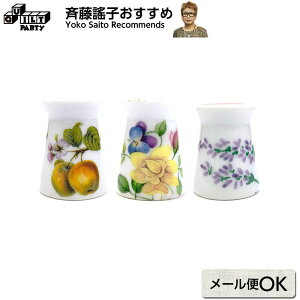 yLeBOpVuIт̃|CgfځzLcāijVu | [֔zj⏞Ȃ