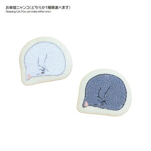 jRƂł u[` | Lbg tXhイ hJ D ٖD nhCh | IpX IpX Olympus 9069 9070 9071 ˂ lR L g LWg n` L S 