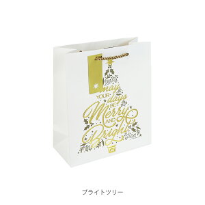 yVbvz 2025N V NX}X Mtg y[p[obO S 21.5x25.3x10.2cm    Vbp[ CO [bp tX