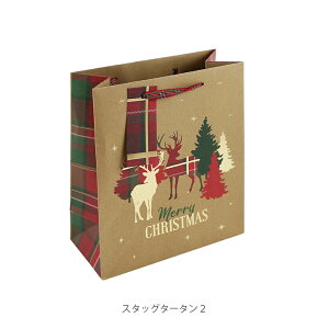 yVbvz NX}X Mtg y[p[obO Ntg S 21.5x25.3x10.2cm Đ100 S13    Vbp[ CO [bp tX