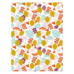 yVbvz fRpb`y[p[ tB{Xy 킢 GRŊȒPCNEDIYz tX܂̃fRc[