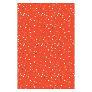 yVbvz fRpb`y[p[ TEXTURE gR[X^[y 킢 GRŊȒPCNEDIYz tX܂̃fRc[