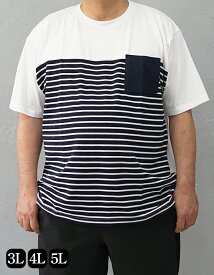 大きいサイズ メンズ Tシャツ 半袖 半袖Tシャツ 5L 4L 3L 2L XXXXL XXXL XXL XL 2XL 3XL 4XL 夏 夏服 夏物 大きい 大きめ カットソー オーバーサイズ ビックサイズ インナー ストリート系 ストリートファッション オシャレ 白 黒 ホワイト ブラック イワショー