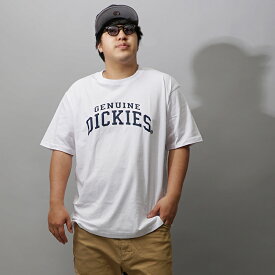 大きいサイズ メンズ tシャツ 半袖 ディッキーズ dickies 2L 3L 4L 5L XXL XXXL XXXXL サイズ カットソー トップス 白 ホワイト グリーン 緑 ワーク アメカジ 大きめ おしゃれ お洒落 夏 夏服 夏物 服 カジュアル 可愛い オーバーサイズ ビックT イワショー