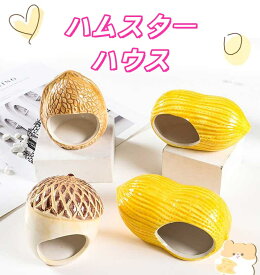 ハムスターハウス ケージ内装 水洗い可能 暑さ対策 どんぐりデザイン クルミ ピーナツ 陶器