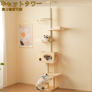 yzLbg^[ [ L^[ Lbgc[ X ˂ 260cm ؓo^[ lR^[ FDt 艺肵₷ ܂Ƃ|[ ؐ  qL ^L }bg