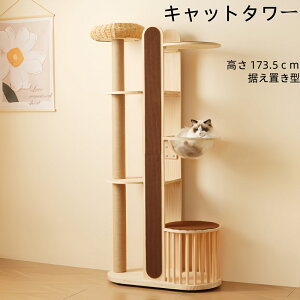 yzLbg^[ L^[ Lbgc[ X [ 173.5cm u lR^[ 艺肵₷ ܂Ƃ|[ ؐ  qL ^L ybgpi 