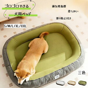 kKɐQ܂xbgl xbh 傫Xy[X@ybgxbh ʔNp ybgNbV NbV  ӂӂ  whJo[ ΍  ^ ^