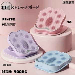 yXgb`{[hzXgb`{[h [֗RpNg y ω׏d 400kg\tg ܂肽݌N@X΃{[h@Xgb`{[h@9iK RpNg y ω׏d jp