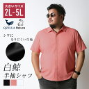 【7/15限定 全品ポイント10倍】白鯨 半袖シャツ 大きいサイズ メンズ ノーアイロン シワになりにくい 2L 3L 4L 5L 白 黒 桃 ピンク 無地 滑らか生地 柔らかい 襟付き カジュアル トップス ブラック ホワイト