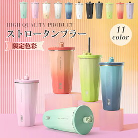 TYESO タンブラー ストロー 持ち運び こぼれない 蓋付き ストロー付きタンブラー 保温 保冷 おしゃれ 水筒 コーヒー 大容量 オフィス ステンレス マグ ジョッキ アウトドア コンパクト プレゼント 真空断熱 600ml 正規品