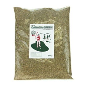 楽天市場 常緑芝 種の通販