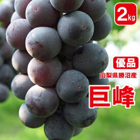 楽天市場 ぶどう デラウェア 人気の通販