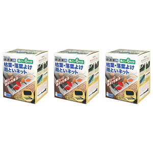 Jǂ l܂ JƂlbg ͗t t悯 6m 3 mebN