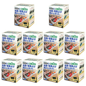 Jǂ l܂ JƂlbg ͗t t悯 6m 10 mebN