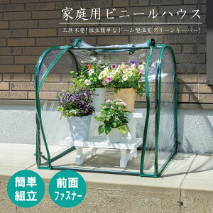 ƒprj[nEX rj[ ^ ƒp Ȉ ΍