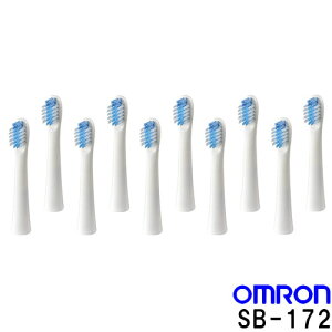 �I������ �d�����u���V �ւ��u���V ���u���V ���Ώ����u���V SB-172 2�`10�{