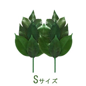 vU[uht[  d _I _   { OgY  STCY