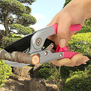 `Fbg ΂ oT~ X[YnT~ 4i`Fbg } K[fjO |pi ~