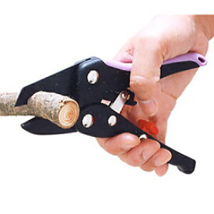 ͂̂Ȃ `Fbgp[E~j SE-71