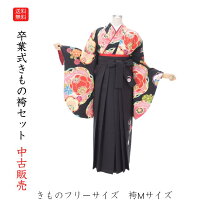 楽天市場】着付け 練習 用 振袖（着物セット｜和服）：レディース 