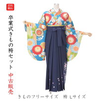 楽天市場】着付け 練習 用 振袖（着物セット｜和服）：レディース 