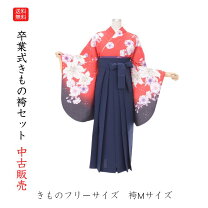 楽天市場】着付け 練習 用 振袖（着物セット｜和服）：レディース 