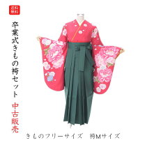 楽天市場】着付け 練習 用 振袖（着物セット｜和服）：レディース 