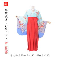 楽天市場】着付け 練習 用 振袖（着物セット｜和服）：レディース 