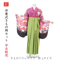 楽天市場】着付け 練習 用 振袖（着物セット｜和服）：レディース 