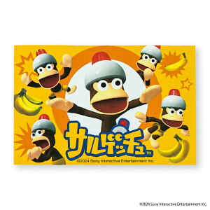 PlayStation P[X胁 TQb`