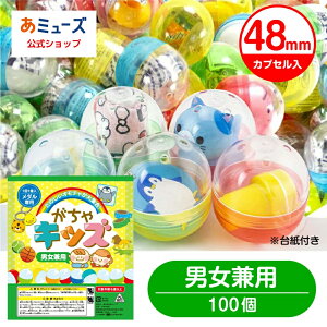 yz~[Y t LbY jp 48mmJvZ qǂpiiZbg JvZgC K`K`(100Zbg)